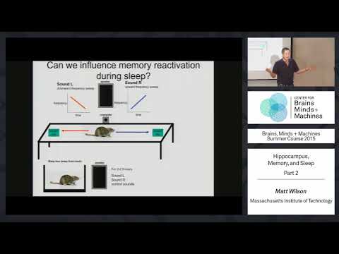 Lecture 1.7: Hippocampus, Memory, & Sleep, Part 2