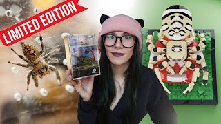 BUILD Your OWN JUMPING SPIDER?! + Phiddipus regius REHOUSING x3!!