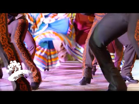 Green Hill Music - Cinco De Mayo [Visualizer]