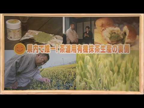 2026年5月2日(土)放送 県内で唯一！茶道用有機抹茶生産の裏側