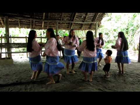 Ecuadorian Amazon: native women's dance