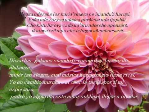 NE RENDAPE AJU - GUARANIA