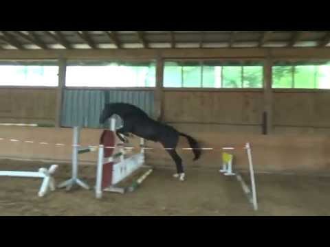 Dark Prinzess Forever - 2. Freispringen