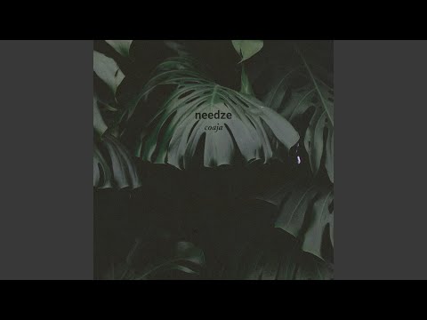 Coaja (Toulouse Rework)