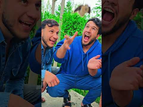 Poor poor boy was made fun of for his gay house sparrow 🦜😇🥰