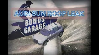 Audi Sunroof Leak Repair