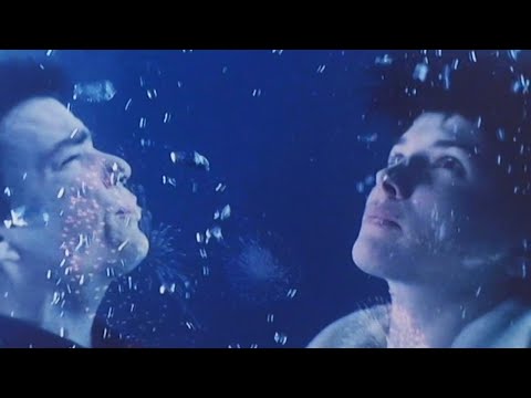 Les Amants du Pont-Neuf (1991) Bande Annonce VF