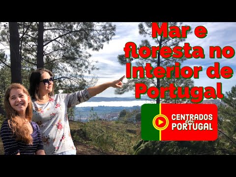 Isso é morar no interior de Portugal | Conheça a Covilhã. Ep 13