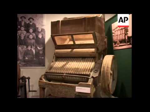 Cork forests are under threat as the wine industry uses plastic stoppers