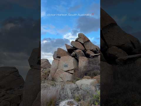A little slice of coastal heaven, Victor Harbor & Granite Island 📍#sea #beach #southaustralia
