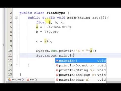 Float Type Variable Example In Java Program