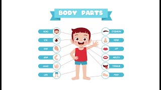 Parti del Corpo in Inglese - Body Parts in English