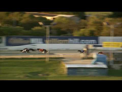 2017 WILLIAM HILL CLASSIC - HEAT 3 - T3 TOOLMAKER OBAMA