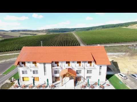 PENSIUNEA KEMSILVANUM - FORT SILVAN