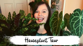Houseplant Tour | Summer 2019