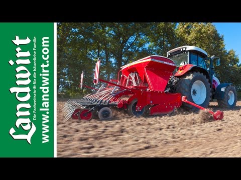 Versuch zum Anbau von Hirse | landwirt.com