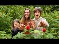 Salmonberry Hike With Axel 12 Years Later