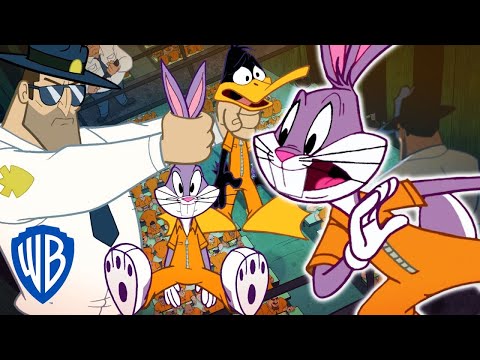 Looney Tunes em Português | Brasil | Laranja é o novo Pernalonga | WB Kids
