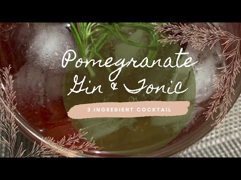 Pomegranate Gin & Tonic