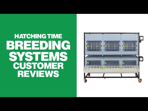 Hatching Time Video Contest - Top 10 Finalist: Grace Farms (2022 Easter Edition)