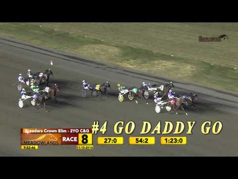 2015 Meadowlands Pace Top Ten