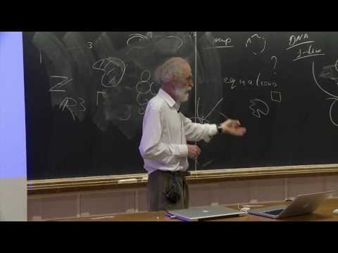 Mikhael Gromov - 4/4  Mathematical Structures arising from Genetics and Molecular Biology