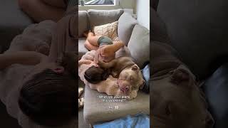 Download lagu Sorry I can’t make it, I’m busy 👀 #dog #dogs #puppy #americanbully #newzealand #cuddles #puppylove mp3