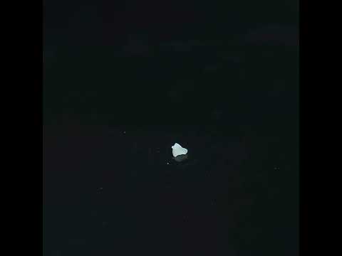 YouTube 썸네일