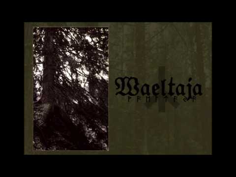 Waeltaja - Forestwalker
