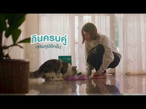 Thumbnail of the video: Purina ONE ท้าลอง 3 สัปดาห์ ไปกับน้องขวัญใจโฉมใหม่ของนะโม สวยขึ้นสุขภาพดีอย่างเห็นได้ชัด