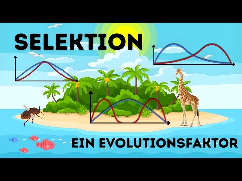 Alexander Poukhlovski and yMatti aber so Schulstuff