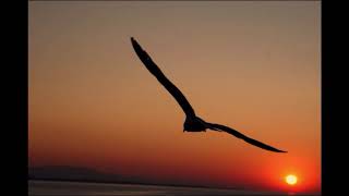 The Wind Beneath My Wings : Gary Morris