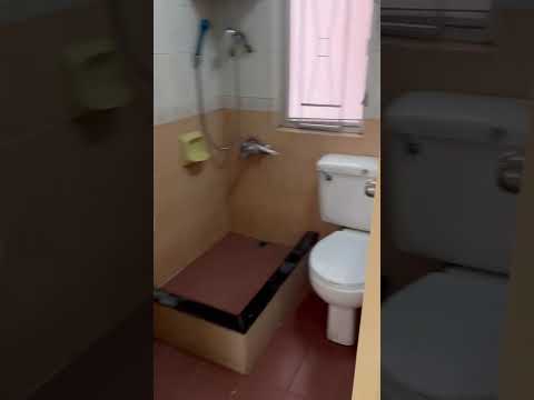 安和园 Youtube Video