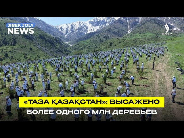 «Таза Қазақстан»: экологическая культура становится государственной политикой