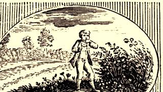 Aesop’s Fables The Boy and the Nettle