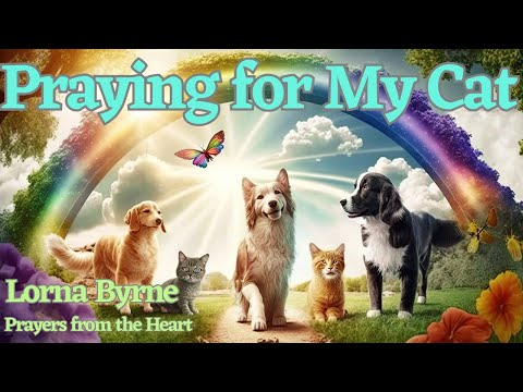 Prayer for my Sick Cat by Lorna Byrne Prayers from the Heart