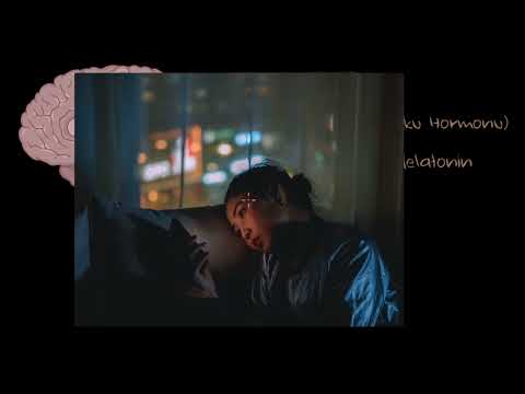 Epifiz Bezi ve Melatonin (Sağlık Bilgisi ve Tıp)