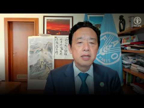 Video message by Dr Qu Dongyu, FAO Director-General