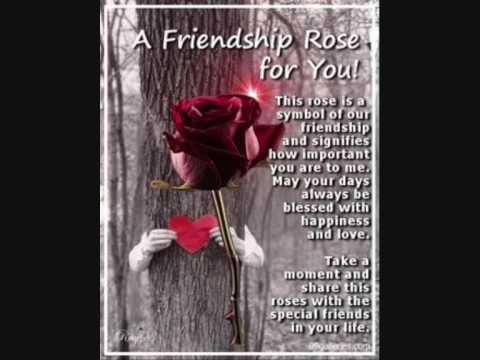 EDI-KA RROGOZHINA GOCA PLOT