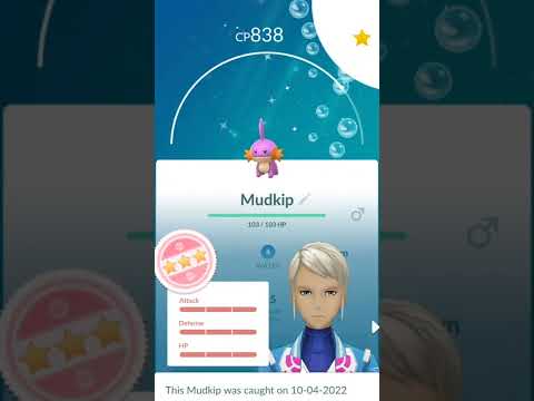 I got Shundo Mudkip and evolved it into Shundo Swampert | Pokemon Go | #shorts