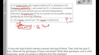 Genetics homework help