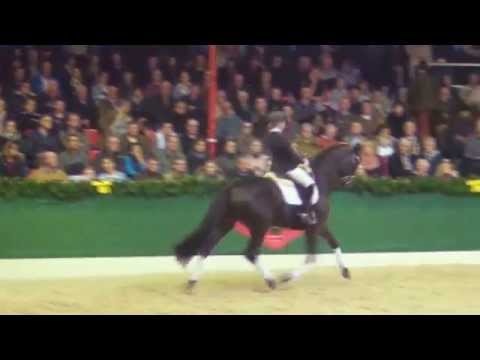 MORRICONE (Millennium x Rubin Royal) - Der erste öffentliche Auftritt