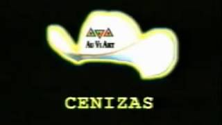 KARAOKE - CENIZAS   LOS BRONCOS