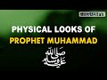 PHYSICAL LOOKS OF PROPHET MUHAMMAD ﷺ