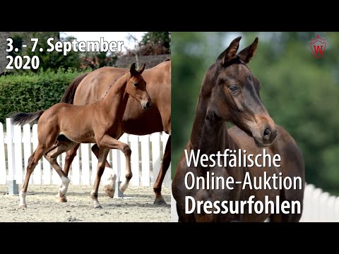 Trailer Online-Auktion v. 03. - 07. September 2020