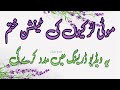 Letest Plus Size Suits For Ladies Ll Plus Size Salwar Kameez Suits Curvy Girl Dresses