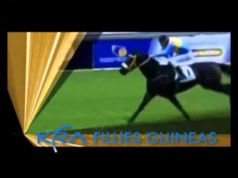 IOS Raceday KRA Guineas and Fillies Guineas