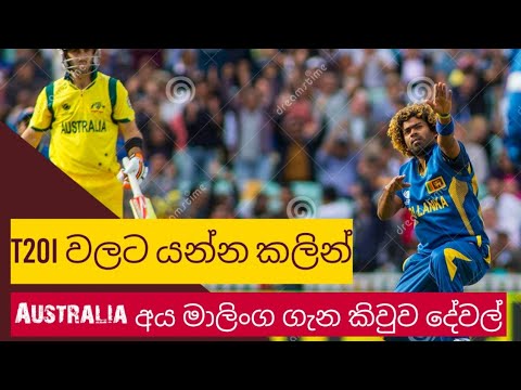 Aussies අපේ මාලි ගැන කිවුව දේවල් #yokerking #SlvsAus #Mali #Slinga #Legend #CricAus #Lasith#Malinga
