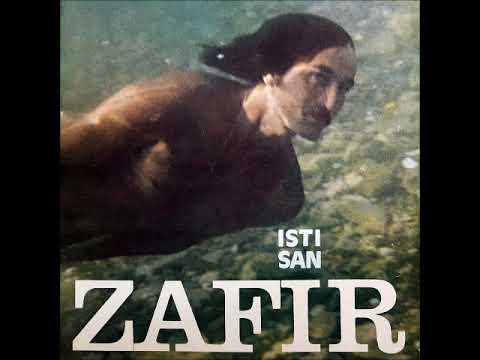 Zafir Hadžimanov - Organizam