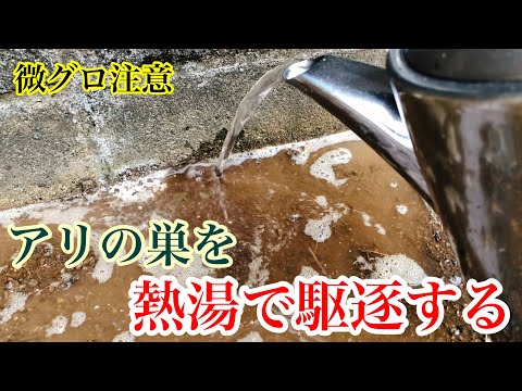 飛んでいるアリと効果的に戦う トピックス